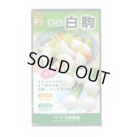 送料無料　[かぶ]　白駒蕪　4ml　大和農園