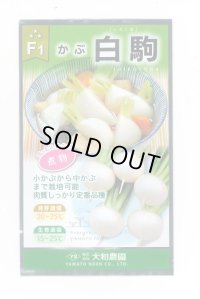 送料無料　[かぶ]　白駒蕪　4ml　大和農園
