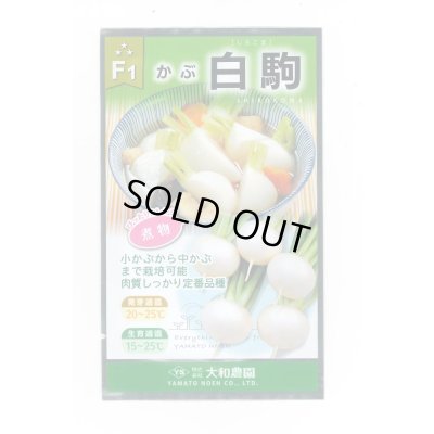 画像1: 送料無料　[かぶ]　白駒蕪　4ml　大和農園