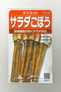 [牛蒡]　ダイエット　約250粒　サカタのタネ（株）　実咲300