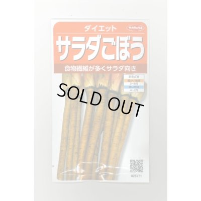 画像1: 送料無料　[牛蒡]　ダイエット　約250粒　(株)サカタのタネ　実咲350（003120）
