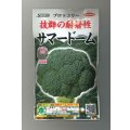 送料無料　[ブロッコリー]　サマードーム　ペレット125粒　(株)サカタのタネ　実咲550（003175）