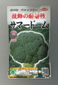 送料無料　[ブロッコリー]　サマードーム　ペレット125粒　(株)サカタのタネ　実咲550（003175）