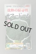 送料無料　[ブロッコリー]　サマードーム　ペレット125粒　(株)サカタのタネ
