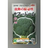 送料無料　[ブロッコリー]　サマードーム　ペレット125粒　(株)サカタのタネ　実咲550（003175）