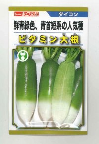 [大根] ビタミン大根 5ml (およそ240粒) (株)トーホク