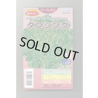 送料無料　[レタス]　ダンシング　ペレット130粒　タキイ種苗(株)