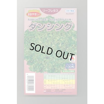 画像1: 送料無料　[レタス]　ダンシング　ペレット130粒　タキイ種苗(株)