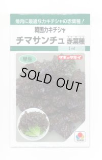 送料無料　[レタス]　チマサンチュ　赤葉種　20ml　タキイ種苗