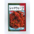 送料無料　[レタス]　レッドウェーブ　20ml　（株）サカタのタネ
