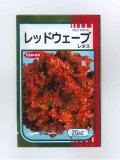 送料無料　[レタス]　レッドウェーブ　20ml　（株）サカタのタネ