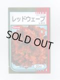 送料無料　[レタス]　レッドウェーブ　20ml　（株）サカタのタネ