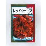 送料無料　[レタス]　レッドウェーブ　20ml　（株）サカタのタネ