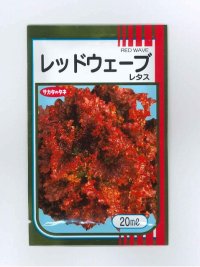 送料無料　[レタス]　レッドウェーブ　20ml　（株）サカタのタネ