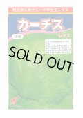 送料無料　[レタス]　カーチス　1ml　渡辺農事株式会社