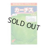 送料無料　[レタス]　カーチス　1ml　渡辺農事株式会社