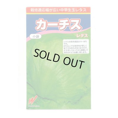 画像1: 送料無料　[レタス]　カーチス　1ml　渡辺農事株式会社