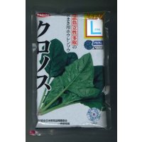[ほうれんそう]　クロノス　種子サイズ：L　2万粒　（株）サカタのタネ