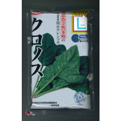 画像1: [ほうれんそう]　クロノス　種子サイズ：L　2万粒　（株）サカタのタネ