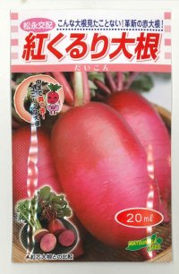 [大根]　紅くるり　20ｍｌ　松永種苗（株）