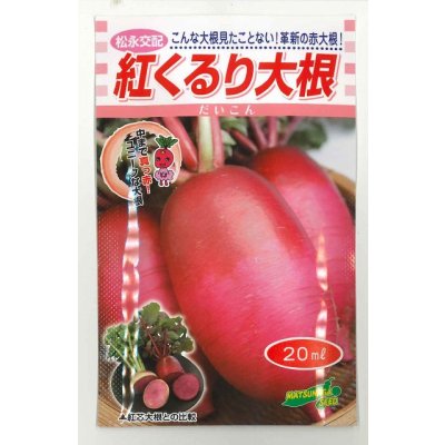 画像1: 送料無料　[大根]　紅くるり　20ml　松永種苗(株)