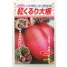 画像1: 送料無料　[大根]　紅くるり　20ml　松永種苗(株) (1)