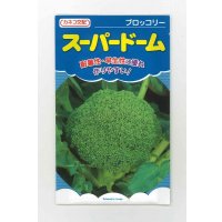 [ブロッコリー] スーパードーム 20ml カネコ種苗（株）
