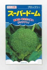 [ブロッコリー] スーパードーム 20ml カネコ種苗（株）
