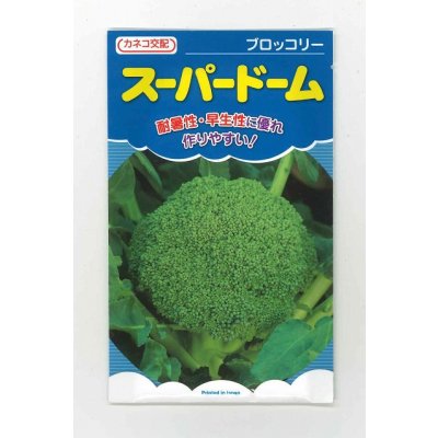 画像1: [ブロッコリー] スーパードーム 20ml カネコ種苗（株）