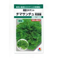 [レタス] チマサンチュ 青葉種　20ml　タキイ種苗　