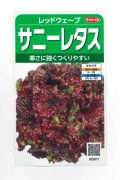 送料無料　[レタス]　レッドウェーブ　約1200粒　(株)サカタのタネ　実咲350（003031）