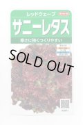 送料無料　[レタス]　レッドウェーブ　約1200粒　(株)サカタのタネ　実咲350（003031）