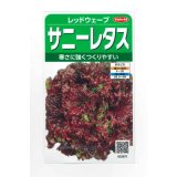 送料無料　[レタス]　レッドウェーブ　約1200粒　(株)サカタのタネ　実咲350（003031）