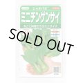 送料無料　[中国野菜]　シャオパオ(ミニチンゲンサイ)　約500粒　(株)サカタのタネ　実咲350（002992）