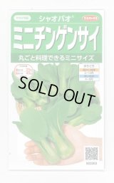 送料無料　[中国野菜]　シャオパオ(ミニチンゲンサイ)　約500粒　(株)サカタのタネ　実咲350（002992）