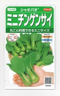 [中国野菜]　シャオパオ（ミニチンゲンサイ）　約500粒　サカタ交配　実咲