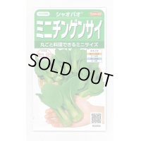 送料無料　[中国野菜]　シャオパオ(ミニチンゲンサイ)　約500粒　(株)サカタのタネ　実咲350（002992）