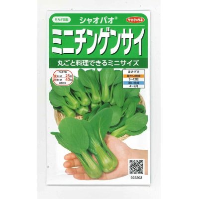 画像1: [中国野菜]　シャオパオ（ミニチンゲンサイ）　約500粒　サカタ交配　実咲