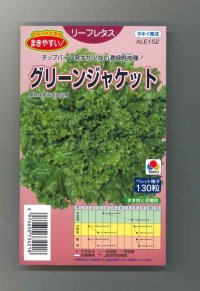 [レタス]　グリーンジャケット　ペレット 130粒　タキイ種苗（株）