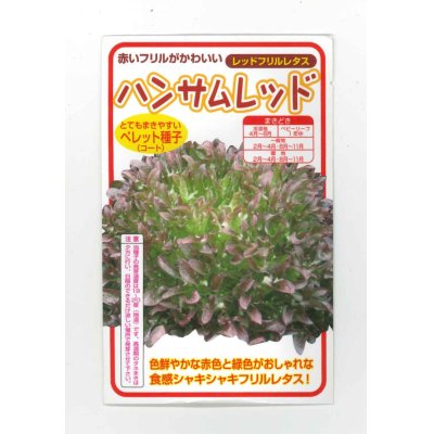 画像1: [レタス]　ハンサムレッド　100粒　横浜植木（株）