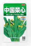 送料無料　[葉物]　中国菜心　約2200粒　(株)サカタのタネ　実咲250（002997）