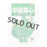 送料無料　[葉物]　中国菜心　約2200粒　(株)サカタのタネ　実咲250（002997）