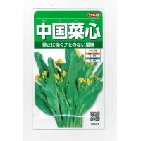 [葉物]　中国菜心　約2200粒　サカタのタネ（株）　実咲200