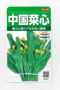 [葉物]　中国菜心　約2200粒　サカタのタネ（株）　実咲200