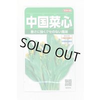 送料無料　[葉物]　中国菜心　約2200粒　(株)サカタのタネ　実咲250（002997）