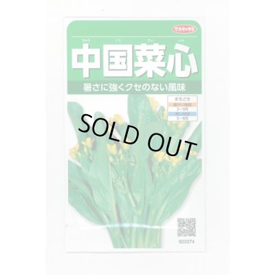 画像1: 送料無料　[葉物]　中国菜心　約2200粒　(株)サカタのタネ　実咲250（002997）