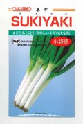 送料無料　[ねぎ]　SUKIYAKI　3.5ml　カネコ種苗（株）