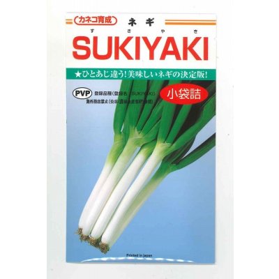 画像1: [ねぎ]　SUKIYAKI　3.5ｍｌ　カネコ種苗