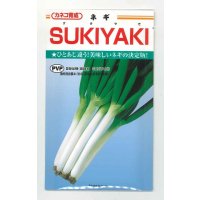 送料無料　[ねぎ]　SUKIYAKI　20ml　カネコ種苗（株）