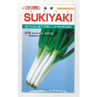 [ねぎ]　SUKIYAKI　20ｍｌ　カネコ種苗